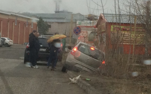 Брошенные животные, пожар в машине: что еще сняли на улицах Кирова на этой неделе