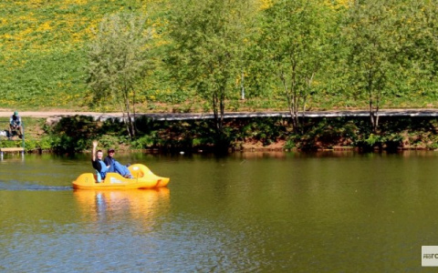 Пруд в парке имени Кирова почистили от мусора