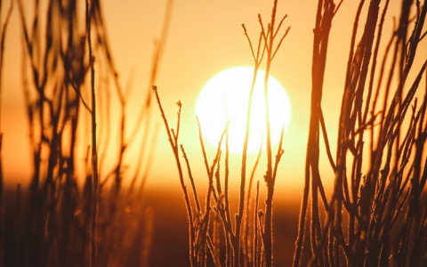 В Кирове на предстоящей рабочей неделе будет +19°C