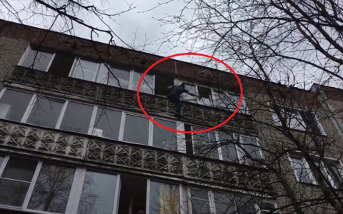 Кировчанин, рискуя жизнью, спас котенка на высоте 5 этажа