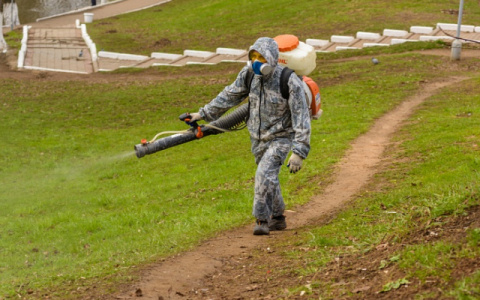 В Кирове начали обрабатывать парки и скверы от клещей
