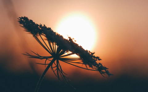 В МЧС рассказали, какой будет погода в Кировской области в воскресенье