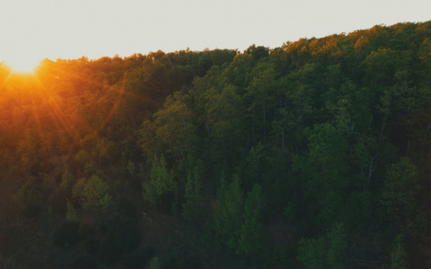 Прогноз погоды: неделя в Кировской области будет теплой и сухой