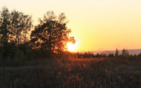 В МЧС рассказали, какой будет погода в Кировской области в понедельник