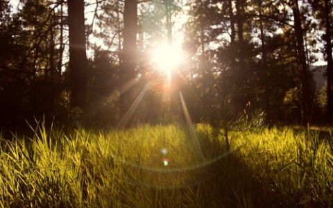 МЧС сообщает о 27-градусной жаре в Кировской области