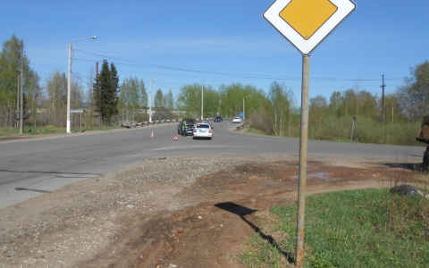 Залетевший в машину кировчанки шмель спровоцировал ДТП