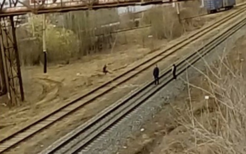 Полиция наказала детей, которые играли над железной дорогой в Кирове