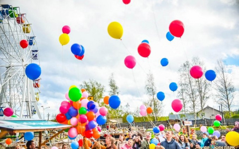 5 новинок летнего сезона-2018 от «Юркин парка»