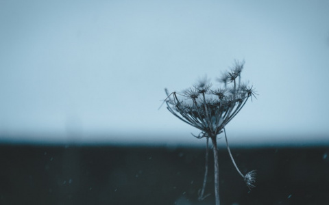 Погода в Кировской области: в пятницу прогнозируется похолодание