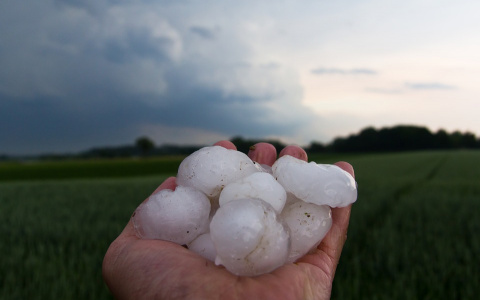 В мае в Кировской области выпал снег и град из-за арктического вторжения