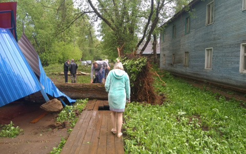 В администрации рассказали, сколько человек пострадали от урагана в Кирове