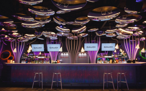 Первомайский суд разрешил открыть клуб GAUDI