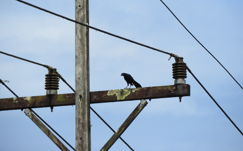 Из-за урагана несколько районов Кировской области остались без электричества
