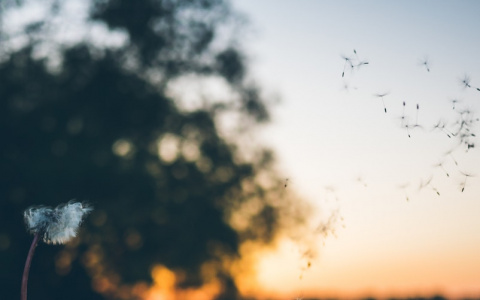 В МЧС рассказали, какой будет погода в Кировской области в пятницу