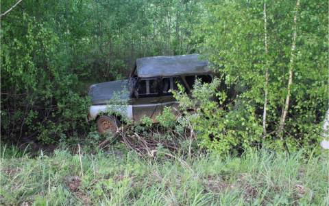 В Немском районе перевернулся автомобиль: пострадавшего ребенка увезли в больницу