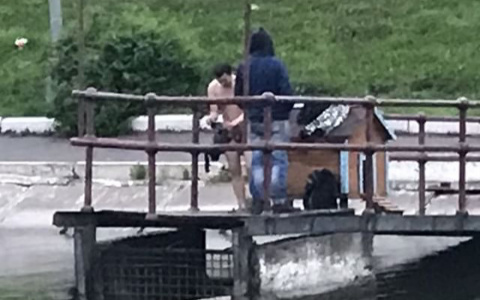 В День города двое кировчан искупались в пруду, а один в фонтане