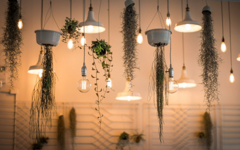 В Кирове более 200 домов останутся в четверг без электричества