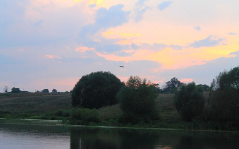 МЧС прогнозирует потепление в Кировской области в пятницу до +19°C