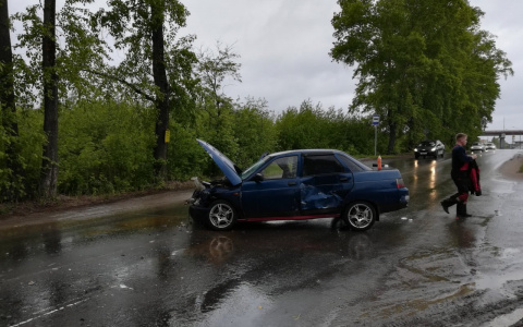 Женщина с 9 котами в машине попала в ДТП после выставки в Кирове