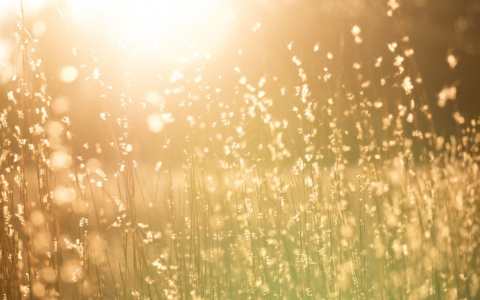 Прогноз погоды: на выходных в Кирове потеплеет