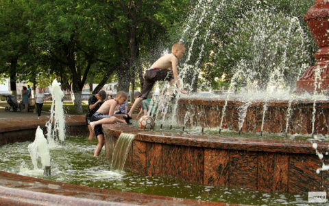 Народные синоптики рассказали, когда в Кирове потеплеет до 30 градусов