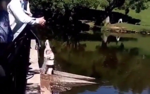 В Кирове женщина вымылась в пруду парка у цирка