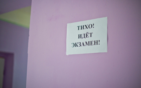 Первые результаты ЕГЭ показали, какой предмет лучше всего знают кировские школьники