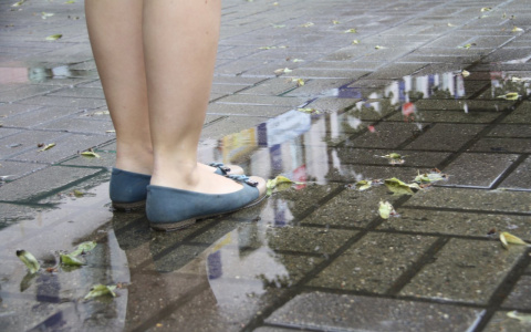 В МЧС рассказали, какой будет погода в Кировской области в четверг