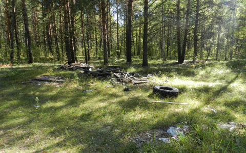 СМИ: в Кирове у ночного клуба похитили 20-летнего студента и увезли в лес