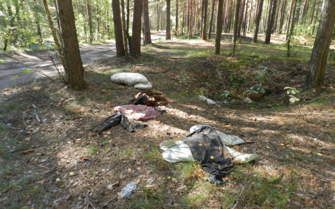 Что обсуждают в Кирове: похищение студента и приговор ограбившему офис микрофинансирования