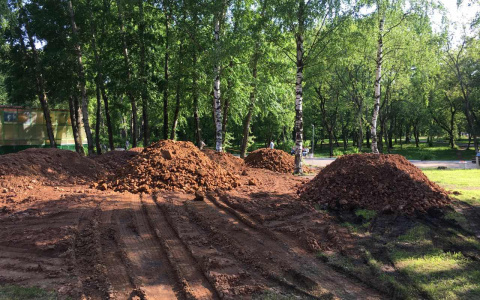 В парке имени Кирова начали рыть землю и вырубать деревья