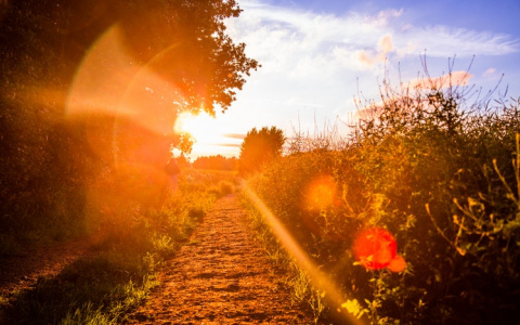 В Кировской области в понедельник было +34°C: когда спадет жара