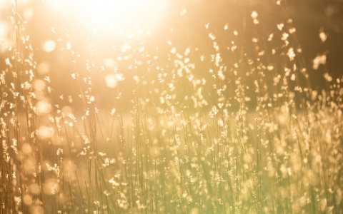 МЧС сообщает о погоде в Кировской области на среду