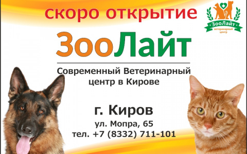В Кирове откроется современный ветеринарный центр «Зоолайт»