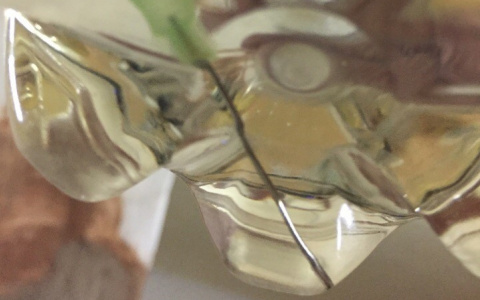 Кировчанин купил растительное масло с медицинской иглой внутри