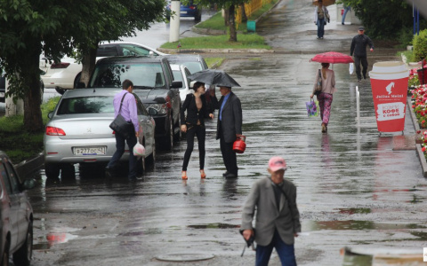 В Кирове предстоящая неделя будет теплой, но дождливой