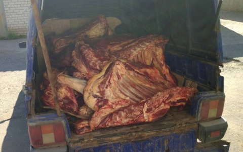 В Киров хотели завезти опасное мясо