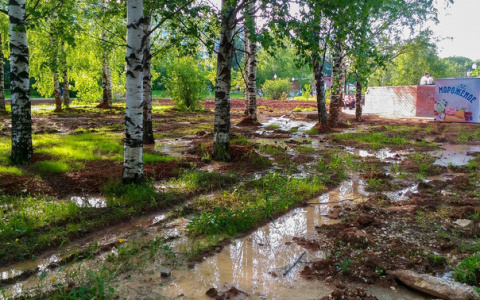 Администрация Кирова решит проблему с затопленным Кочуровским парком