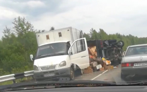 Видео: в Кировской области перевернулась фура с помидорами