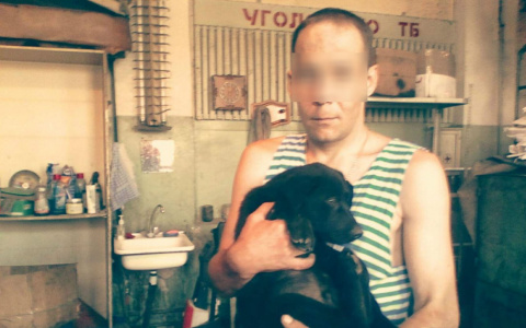 Известна личность живодера, который сбросил собаку с 6 этажа в Чепецке
