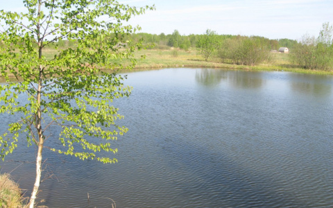 В Кировской области в пруду утонул 24-летний парень