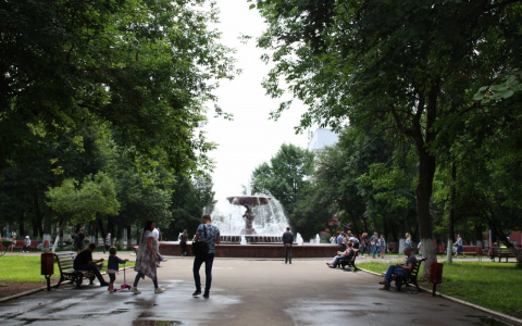 Погода в Кирове: пасмурная рабочая неделя сменится жаркими выходными