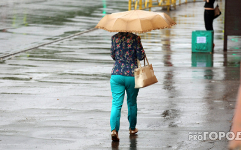 Синоптики назвали четверг, 19 июля, самым холодным днем недели