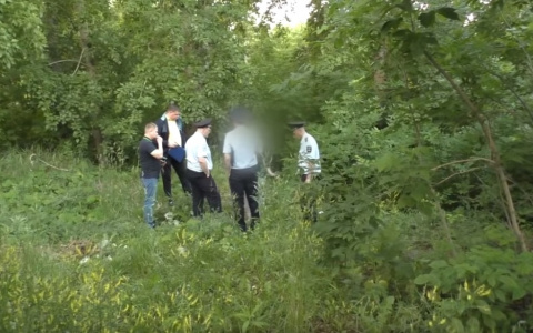 В Кирове по подозрению в серии изнасилований задержали мужчину