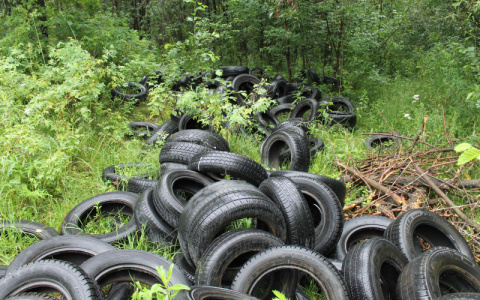 Активисты обнаружили под Кировом огромные свалки покрышек