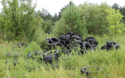 В Кирове проведут внеплановые проверки шиномонтажей