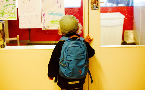 Как правильно выбрать школьный рюкзак?