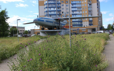 Мусор, сорняки и разруха:  самолет на Филейке пустует и зарастает травой