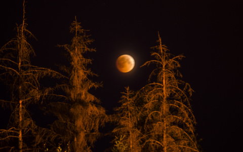 Что обсуждают в Кирове: вымирающие районы Кировской области и фото лунного затмения