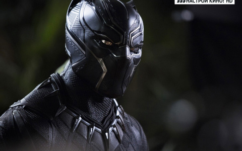 Какие ТВ-премьеры посмотреть в августе?